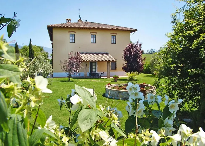 Poggio Al Sole, Vinci